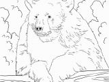 Grizzly Bear Coloring Pages Grizzly Bear Coloring Page Coloring Pages