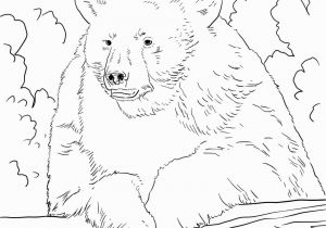 Grizzly Bear Coloring Pages Grizzly Bear Coloring Page Coloring Pages