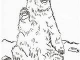 Grizzly Bear Coloring Pages Grizzly Bear Coloring Page Samantha Bell