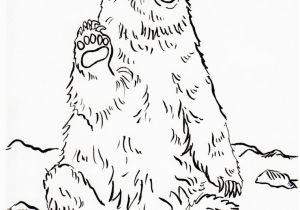 Grizzly Bear Coloring Pages Grizzly Bear Coloring Page Samantha Bell