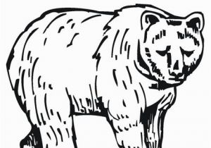 Grizzly Bear Coloring Pages Grizzly Bear Coloring Page Twisty Noodle