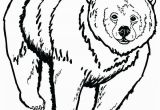 Grizzly Bear Coloring Pages Grizzly Bear Coloring Pages 6859