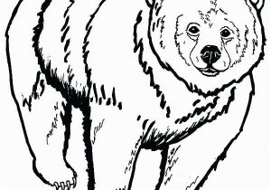 Grizzly Bear Coloring Pages Grizzly Bear Coloring Pages 6859