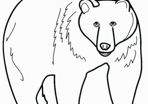 Grizzly Bear Coloring Pages Grizzly Bear Coloring Pages Grizzly Bear Coloring Page Grizzly Bear