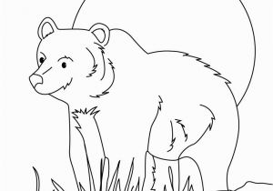 Grizzly Bear Coloring Pages Grizzly Bear Coloring Pages Hellokids