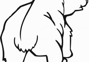 Grizzly Bear Coloring Pages Grizzly Bears Coloring Pages