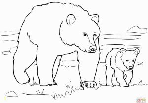 Grizzly Bear Coloring Pages Grizzly Bears Coloring Pages