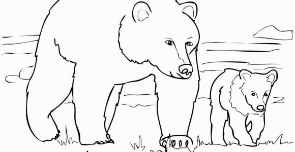 Grizzly Bear Coloring Pages Grizzly Bears Coloring Pages