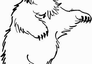 Grizzly Bear Coloring Pages Realistic Bear Coloring Pages Free Coloring Library