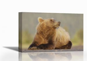 Grizzly Bear Wall Murals Karmakara Ak Lake Clark Np Adult Brown Bear Sniffing Air