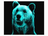 Grizzly Bear Wall Murals Turquoise and Black Grizzly Bear Portrait Print