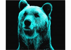 Grizzly Bear Wall Murals Turquoise and Black Grizzly Bear Portrait Print