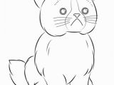 Grumpy Cat Coloring Pages Webkinz Grumpy Cat Coloring Page