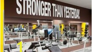 Gym Mural Ideas 82 Best Fitness Center Murals and Interior Branding Images