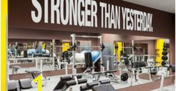Gym Mural Ideas 82 Best Fitness Center Murals and Interior Branding Images