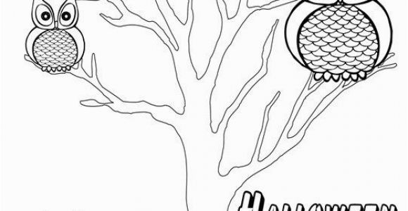Halloween Owl Coloring Page Halloween is A Hoot" Printable Halloween Coloring Page