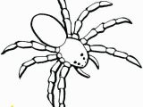 Halloween Spider Coloring Pages Free Printable Halloween Spider Coloring Pages