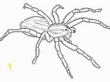 Halloween Spider Coloring Pages Free Printable Halloween Spider Coloring Pages