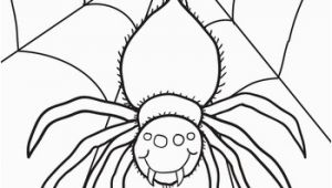 Halloween Spider Coloring Pages Spider Coloring Page