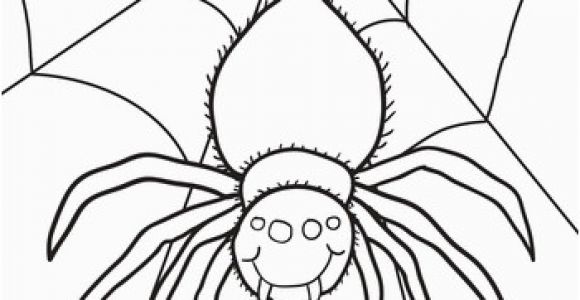 Halloween Spider Coloring Pages Spider Coloring Page