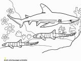 Hammerhead Shark Coloring Page 28 Beautiful Shark Coloring Pages Concept