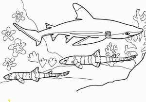 Hammerhead Shark Coloring Page 28 Beautiful Shark Coloring Pages Concept