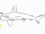 Hammerhead Shark Coloring Page Coloring Pages Sharks Shark Printable Coloring Pages Coloring Pages