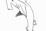 Hammerhead Shark Coloring Page Hammerhead Shark Coloring Page