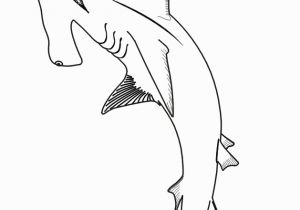 Hammerhead Shark Coloring Page Hammerhead Shark Coloring Page