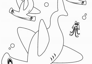 Hammerhead Shark Coloring Page Hammerhead Shark Drawing at Getdrawings