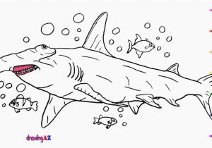 Hammerhead Shark Coloring Page Lovely Hammerhead Shark Coloring Pages to Download Free Page Sheets