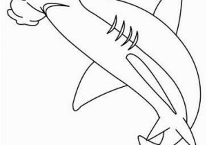 Hammerhead Shark Coloring Page the Great Hammerhead Shark Coloring Page Let Your Imagination soar