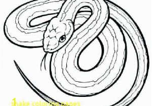 Hammy Coloring Pages Rattlesnake Coloring Page Elegant Red Tail Boa Coloring Coloring