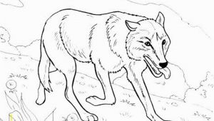 Hard Cute Animal Coloring Pages Printable Coloring Pages Wolves 10 S Rad Io Gora