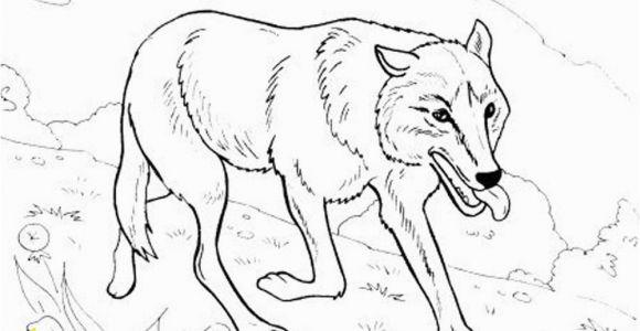 Hard Cute Animal Coloring Pages Printable Coloring Pages Wolves 10 S Rad Io Gora