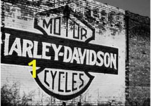 Harley Davidson Wall Mural 19 Best Harley Davidson Images