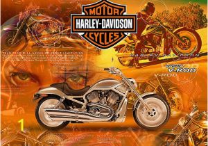 Harley Davidson Wall Mural Shop 38 ] Harley Davidson Motorcycle Wallpaper Border On