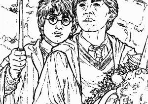 Harry Potter and the Chamber Of Secrets Coloring Pages Kids N Fun