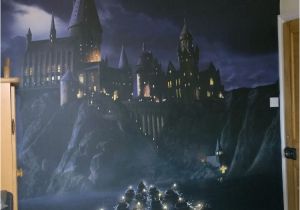 Harry Potter Full Wall Mural First Time to Hogwarts Harry Potter Wall Mural