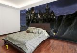 Harry Potter Full Wall Mural First Time to Hogwarts Harry Potter Wall Mural