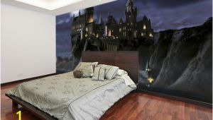 Harry Potter Full Wall Mural First Time to Hogwarts Harry Potter Wall Mural