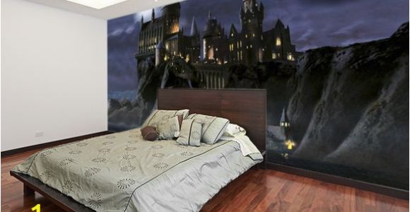 Harry Potter Full Wall Mural First Time to Hogwarts Harry Potter Wall Mural