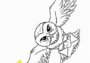 Harry Potter Owl Coloring Pages 24 Best Harry Potter Birthday Plans Images