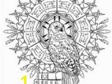 Harry Potter Owl Coloring Pages 73 Best Harry Potter Coloring Book Images