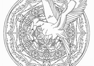 Harry Potter Owl Coloring Pages A Harry Potter Coloring Book Crawling with Fantastic