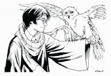 Harry Potter Owl Coloring Pages Coloring Pages Harry Potter Easy Berbagi Ilmu Belajar Bersama