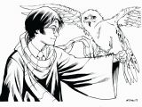 Harry Potter Owl Coloring Pages Coloring Pages Harry Potter Easy Berbagi Ilmu Belajar Bersama