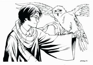 Harry Potter Owl Coloring Pages Coloring Pages Harry Potter Easy Berbagi Ilmu Belajar Bersama