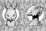 Harry Potter Owl Coloring Pages Harry Potter Magical Creatures Colouring Petition