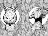 Harry Potter Owl Coloring Pages Harry Potter Magical Creatures Colouring Petition